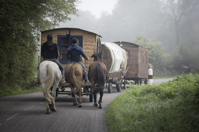 roulottes tirées par des chevaux
