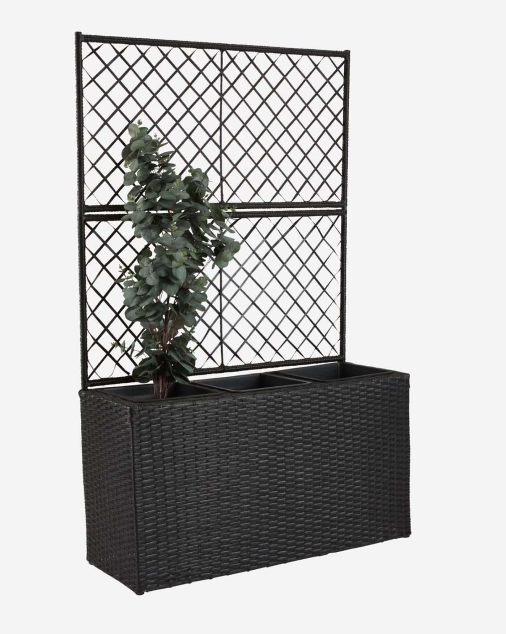 Une structure qui voit grand : zoom sur ses atouts insoupçonnés