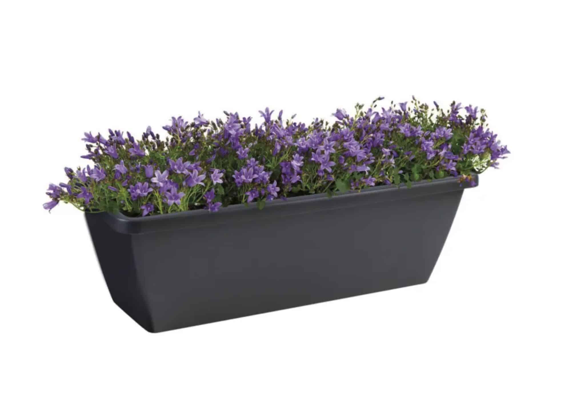 Optimisez la santé de vos plantes grâce à des atouts techniques malins